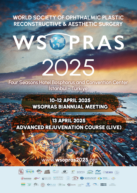 WSOPRAS 2025 Meeting in Istanbul